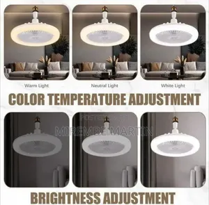 Multi-Function LED Aromatherapy Fan Light