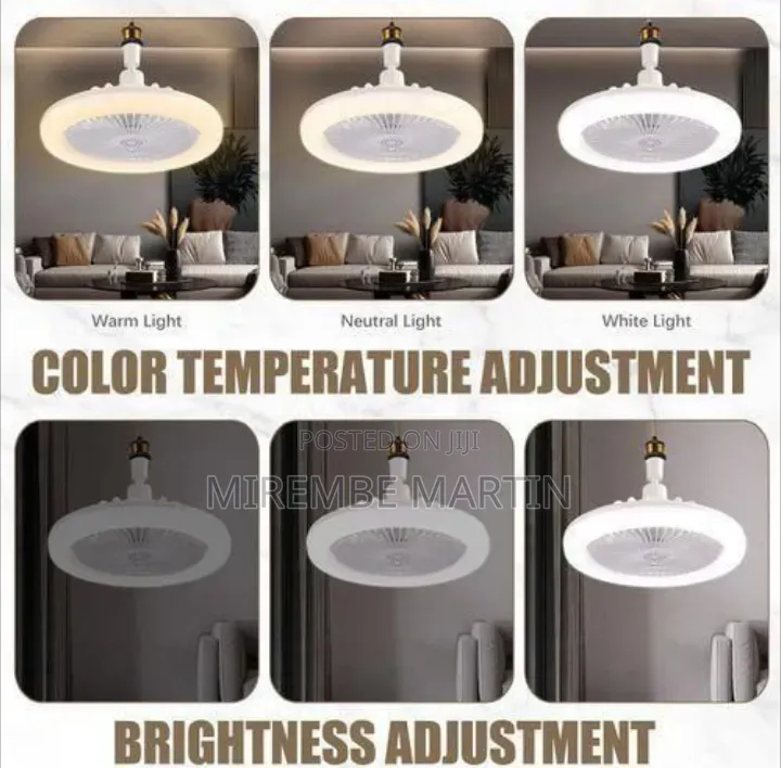 Multi-Function LED Aromatherapy Fan Light