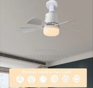 Modern Ceiling Fan With Integrated Light