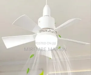 Modern Ceiling Fan With Integrated Light