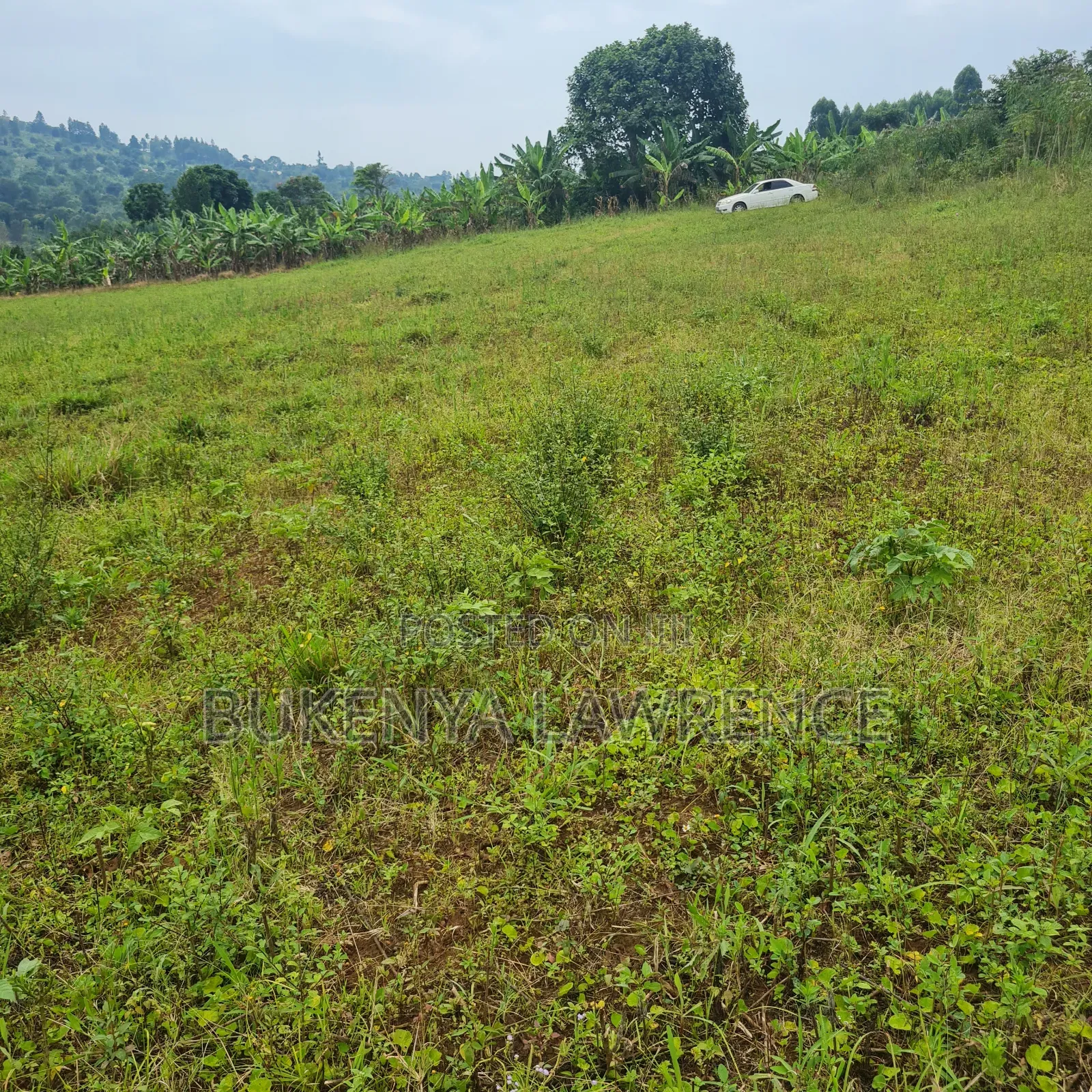 Acres and Halfacres Wz Ready Land Title for Sell in Ngomanene Gomba Rd