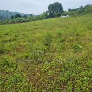 Acres and Halfacres Wz Ready Land Title for Sell in Ngomanene Gomba Rd