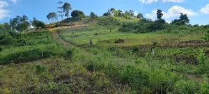 Acres and Halfacres Wz Ready Land Title for Sell in Ngomanene Gomba Rd