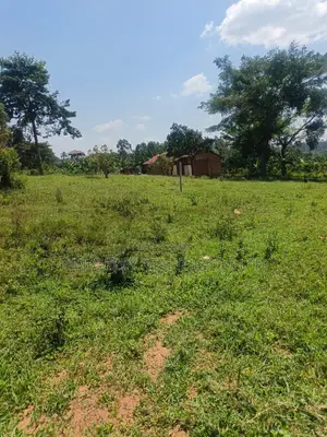 Prime Plots for Sale – Gayaza Kiwenda