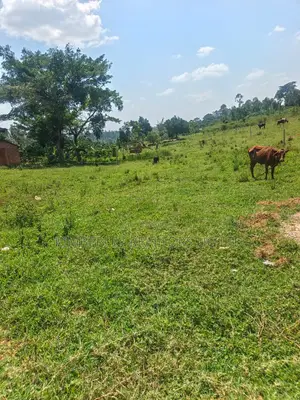 Prime Plots for Sale – Gayaza Kiwenda