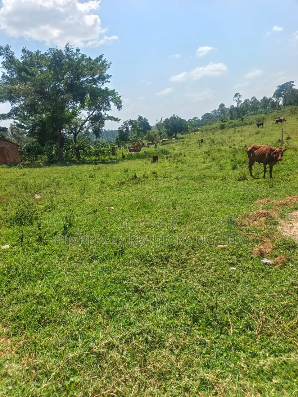 Prime Plots for Sale – Gayaza Kiwenda