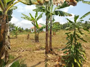 1 Acre of Land for Sale – Matugga Kalasa