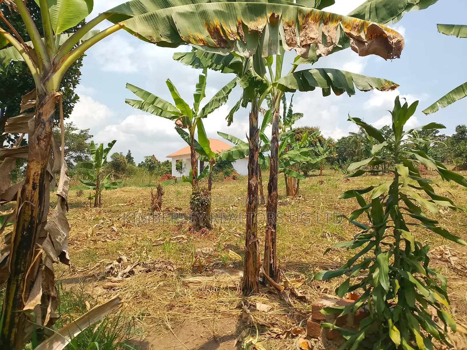 1 Acre of Land for Sale – Matugga Kalasa