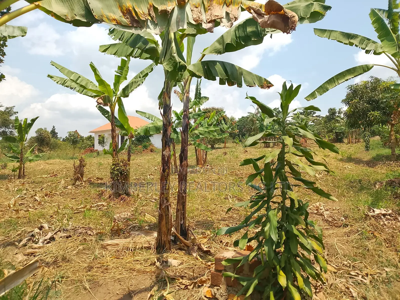 1 Acre of Land for Sale – Matugga Kalasa
