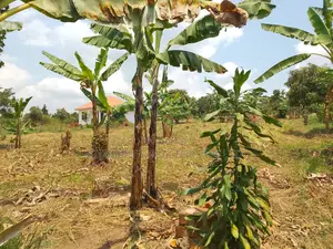 1 Acre of Land for Sale – Matugga Kalasa