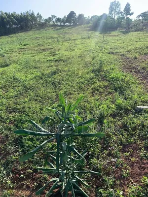 Land Selling