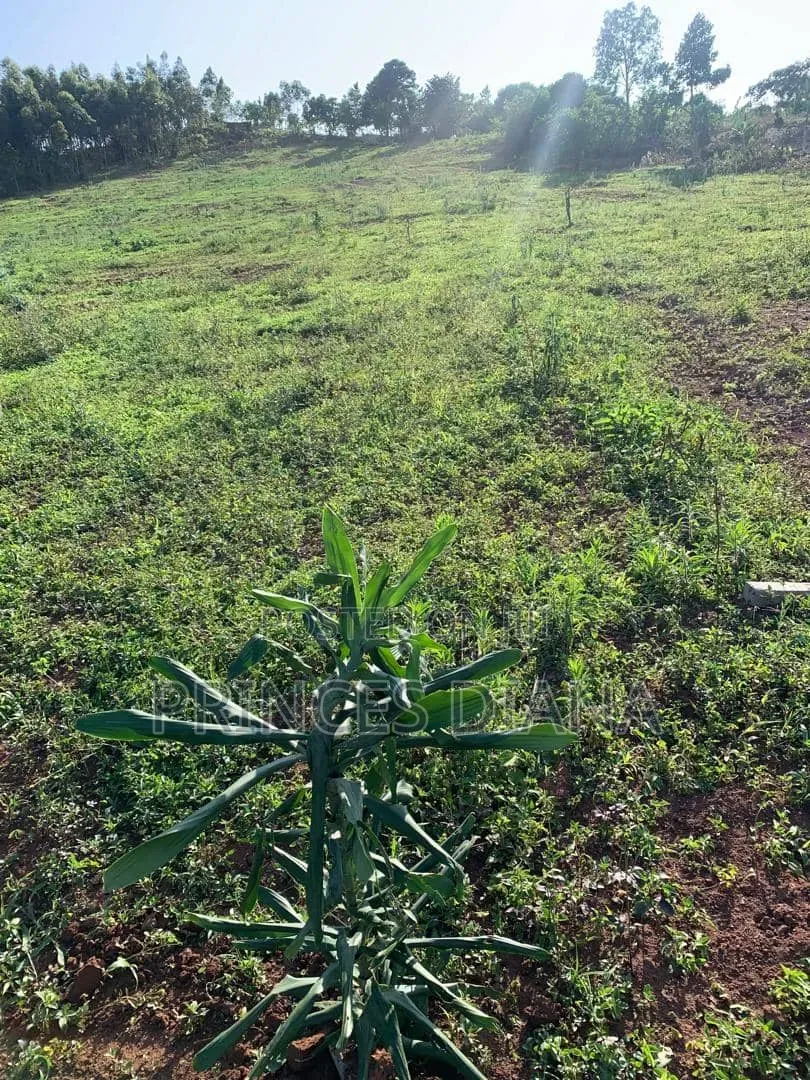 Land Selling