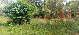 1.5 Acres of Land With Semi-Finished House Structure, Kasambira Kamuli