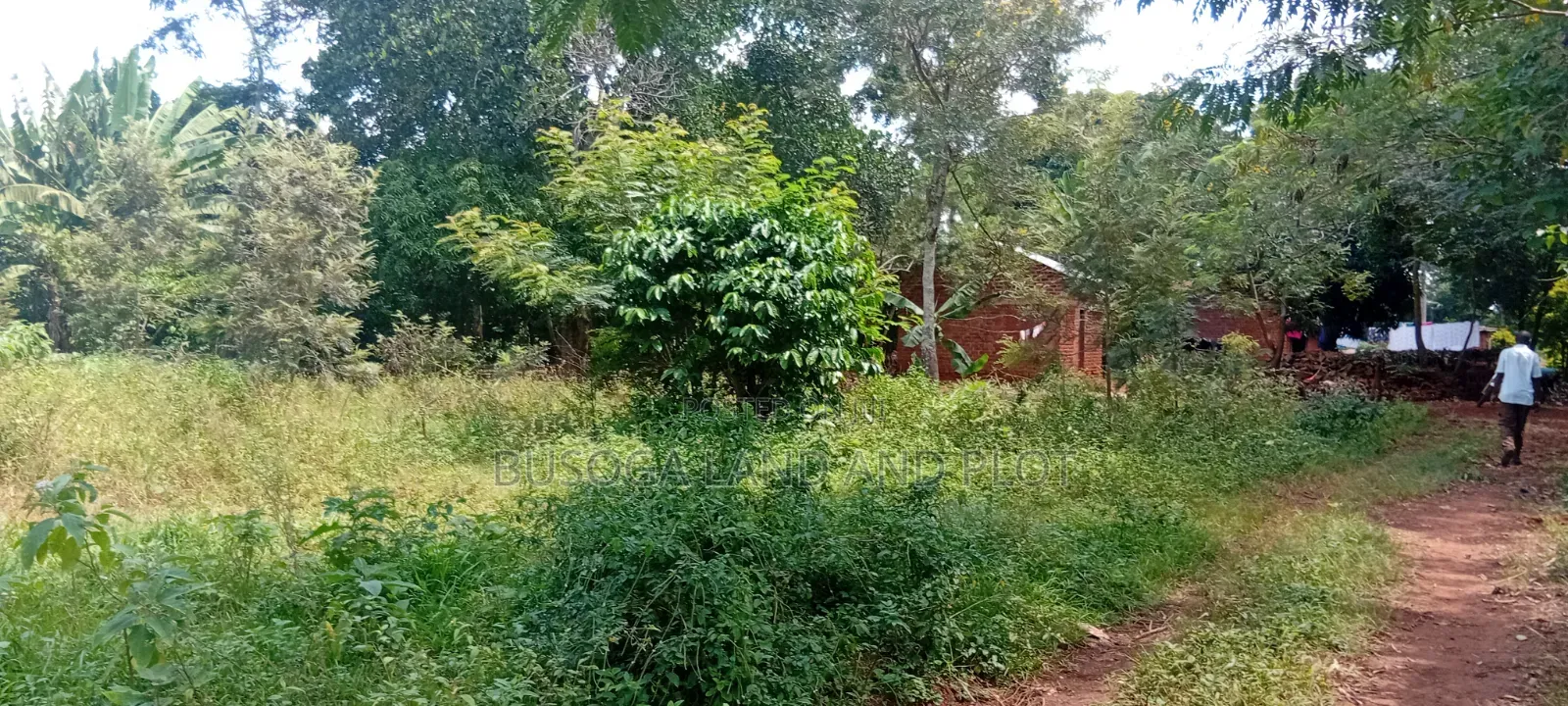 1.5 Acres of Land With Semi-Finished House Structure, Kasambira Kamuli