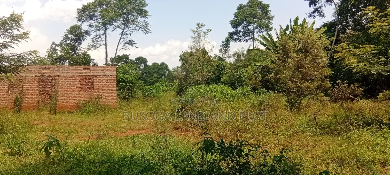 1.5 Acres of Land With Semi-Finished House Structure, Kasambira Kamuli