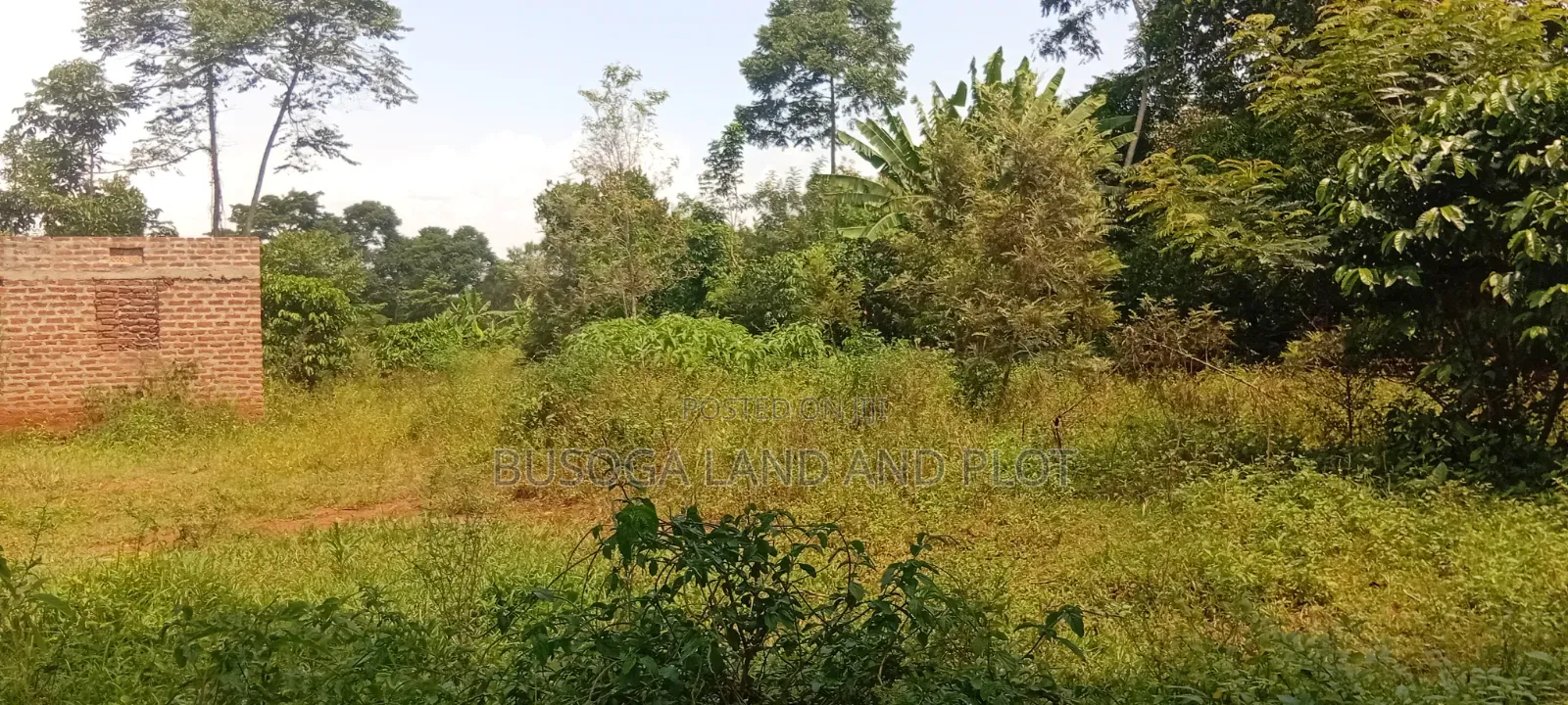 1.5 Acres of Land With Semi-Finished House Structure, Kasambira Kamuli