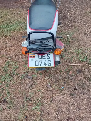 Bajaj Boxer 100 2019 Red