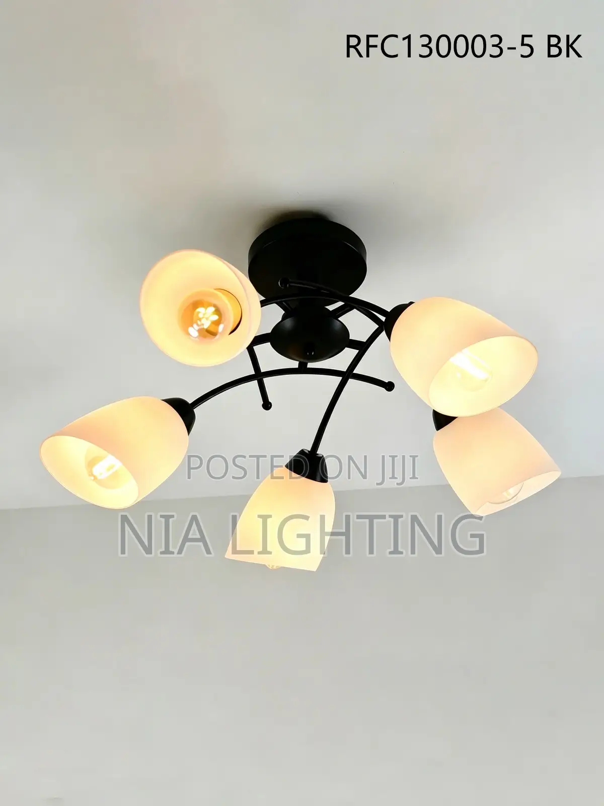 Ceiling Lights