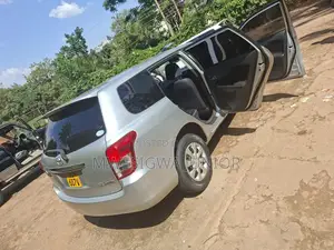 Toyota Corolla Fielder 2010 Silver