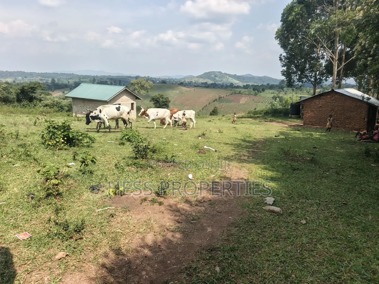 12acres of Afarmland on Sale in -Katooke Kyenjojo District