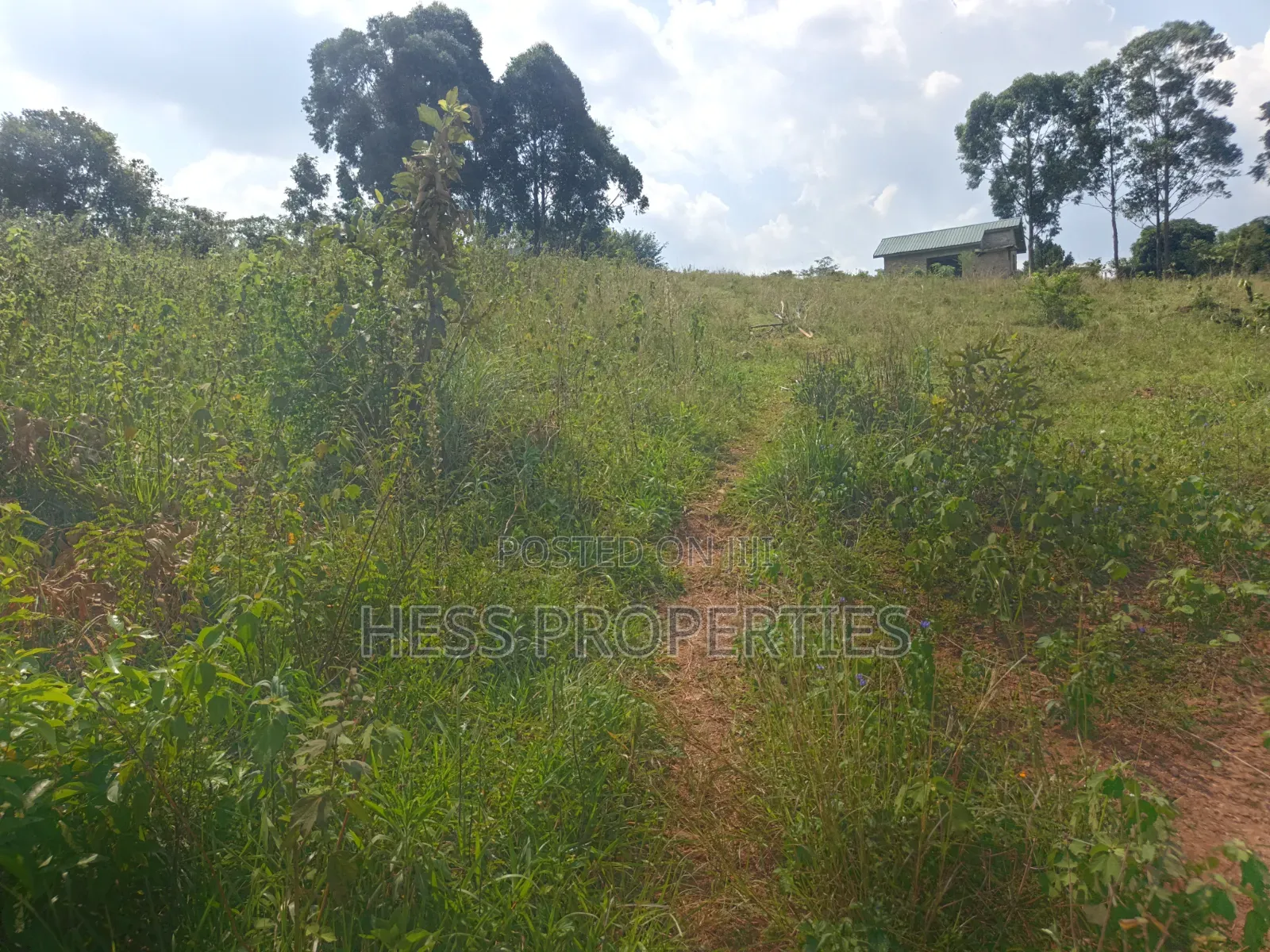 12acres of Afarmland on Sale in -Katooke Kyenjojo District