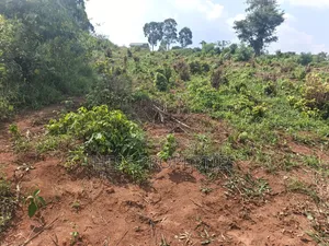 12acres of Afarmland on Sale in -Katooke Kyenjojo District