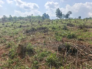 12acres of Afarmland on Sale in -Katooke Kyenjojo District