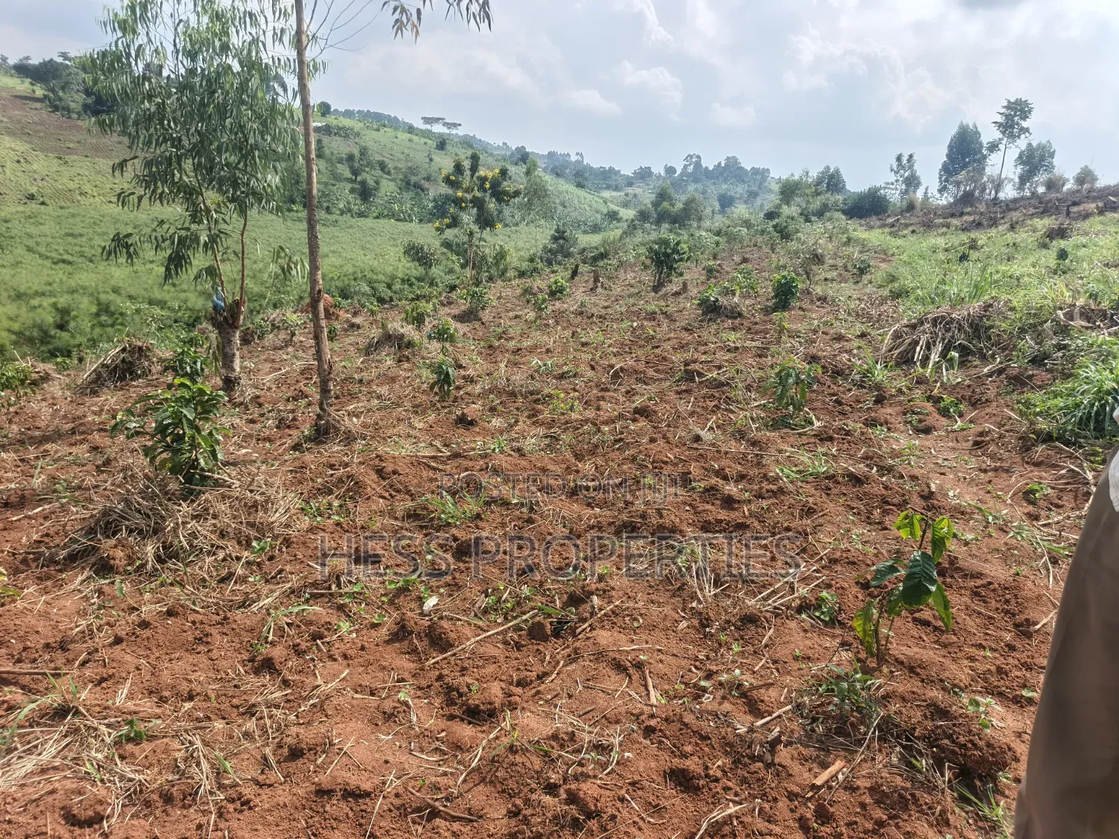 12acres of Afarmland on Sale in -Katooke Kyenjojo District
