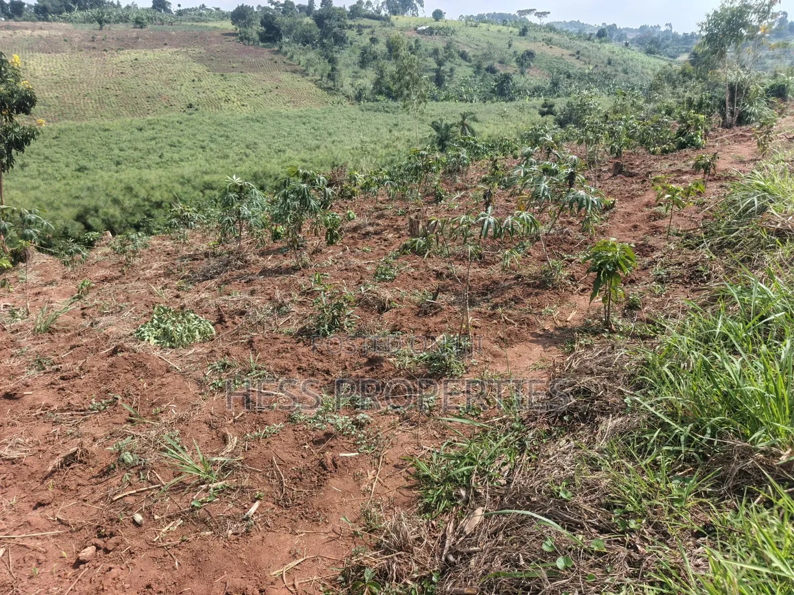 12acres of Afarmland on Sale in -Katooke Kyenjojo District