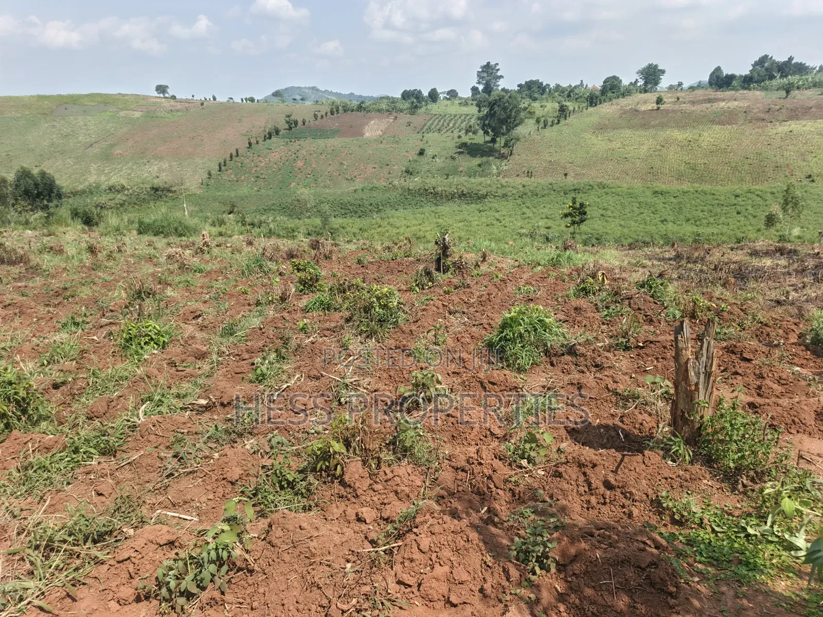 12acres of Afarmland on Sale in -Katooke Kyenjojo District