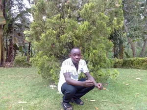 Iam Looking for a Job