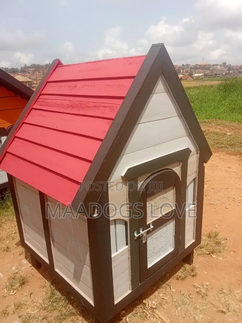 Kennels Available