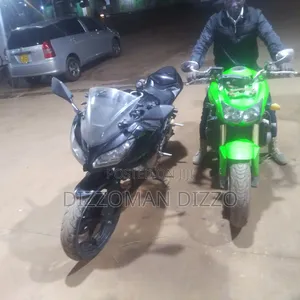 Kawasaki Ninja 1000 2017 Green