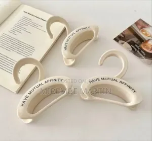 Multi-Functional Accessory Storage Hanger for Closets