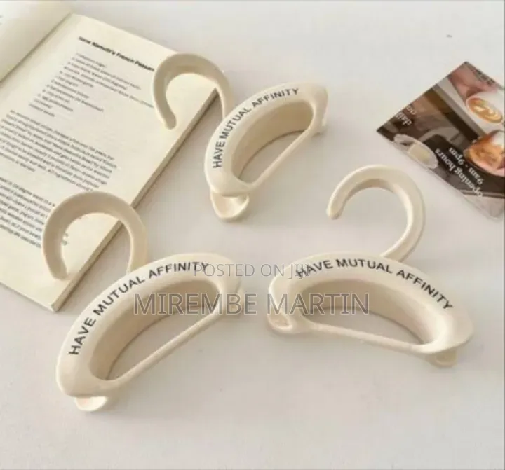 Multi-Functional Accessory Storage Hanger for Closets