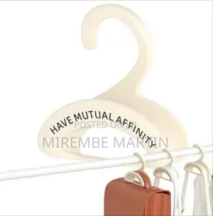 Multi-Functional Accessory Storage Hanger for Closets