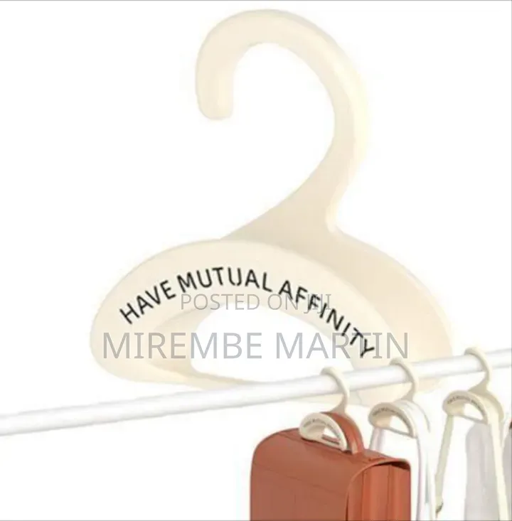 Multi-Functional Accessory Storage Hanger for Closets