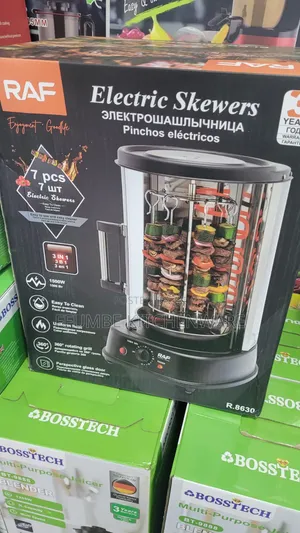 Electric Skewer or Grill
