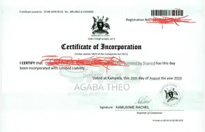 Registered Company in 2019