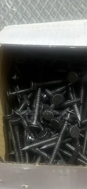 Roofing Nails Box