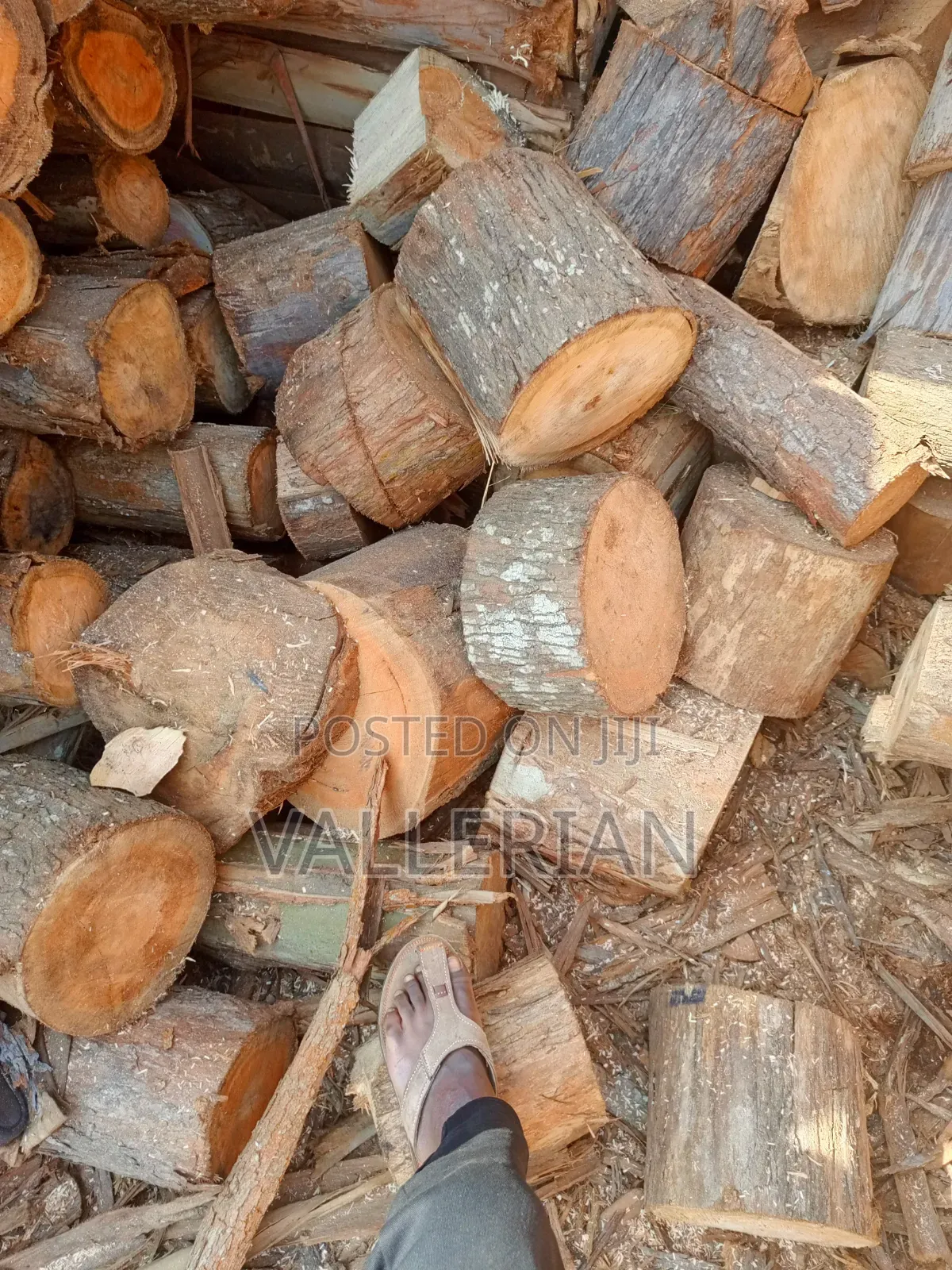 Wood for Sale