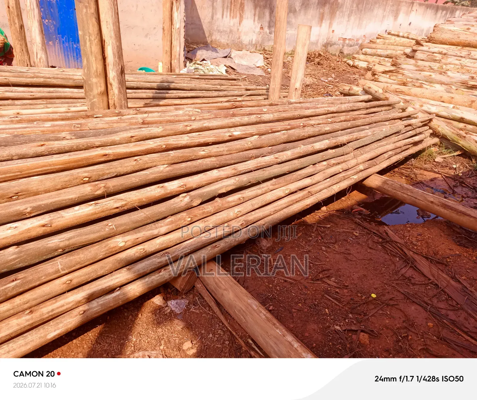 Wood for Sale