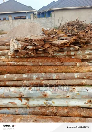 Wood for Sale