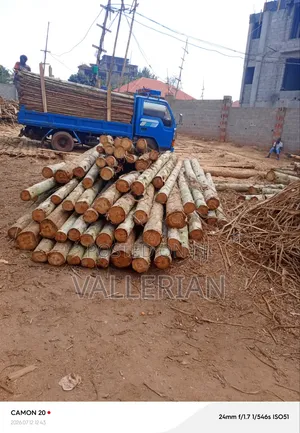 Wood for Sale