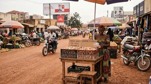 Fresh Eggs for Sale in Kampala, Uganda