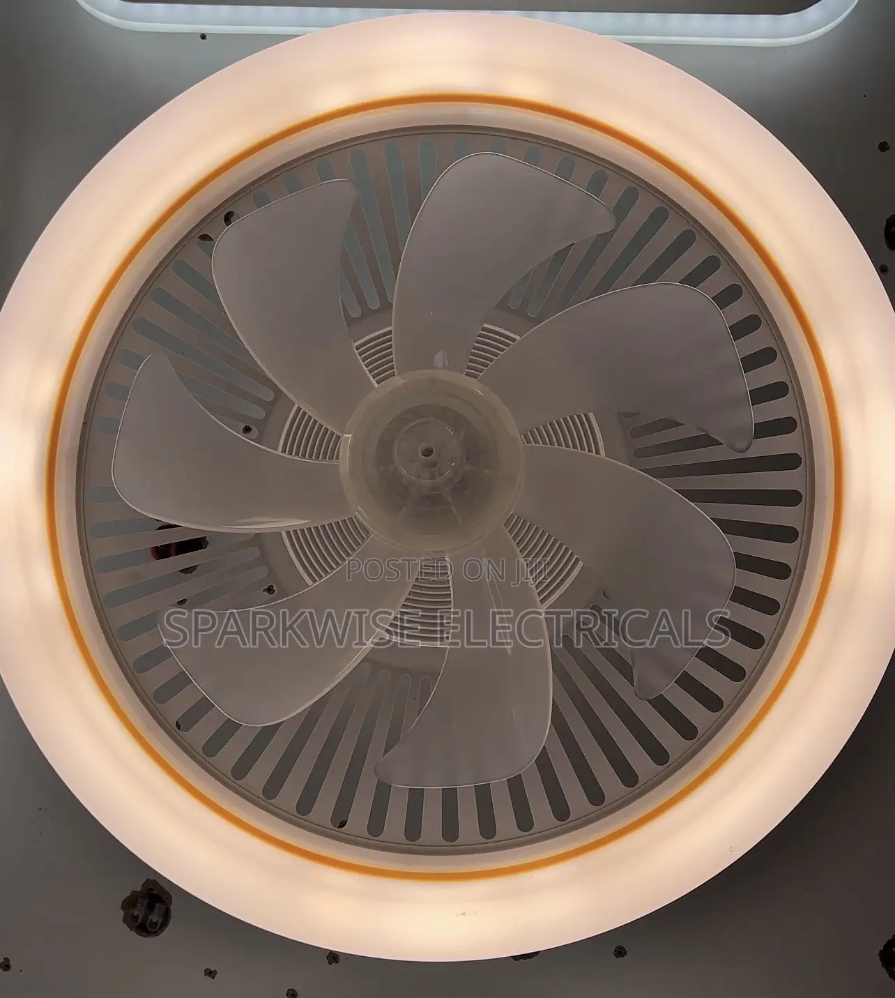 Fan Ceiling Light