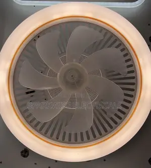 Fan Ceiling Light