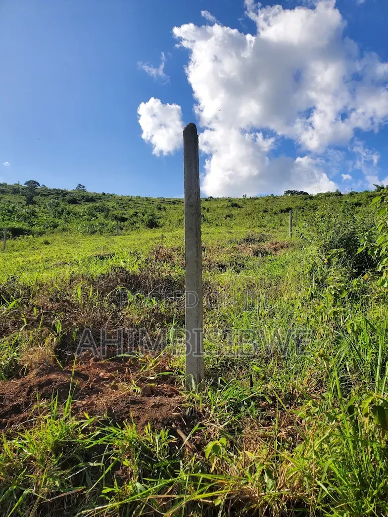 50ft*100ft Land on Hill