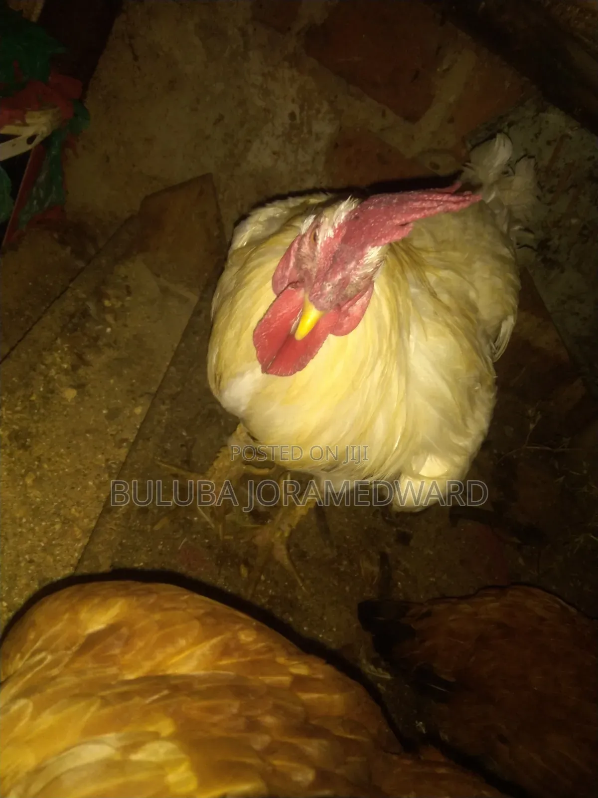 Ssaso Chicken
