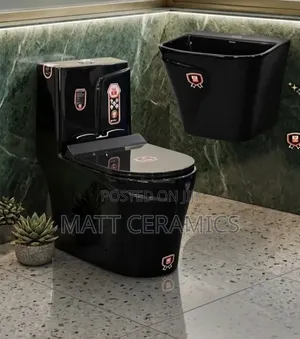 Classy Black Toilet Set